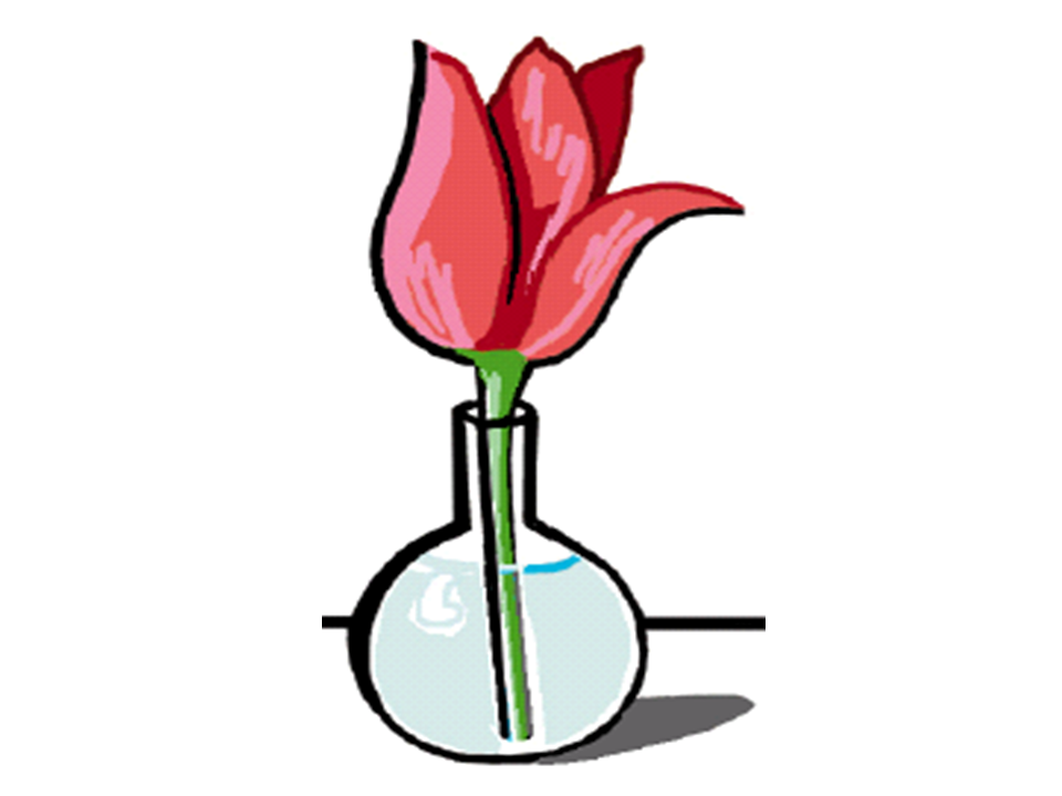 Kundenerlebnis als Erfolgsfaktor - Kundenerlebnis verbessern - Customer Experience - Pharma Marketing - Kundenzufriedenheit steigern