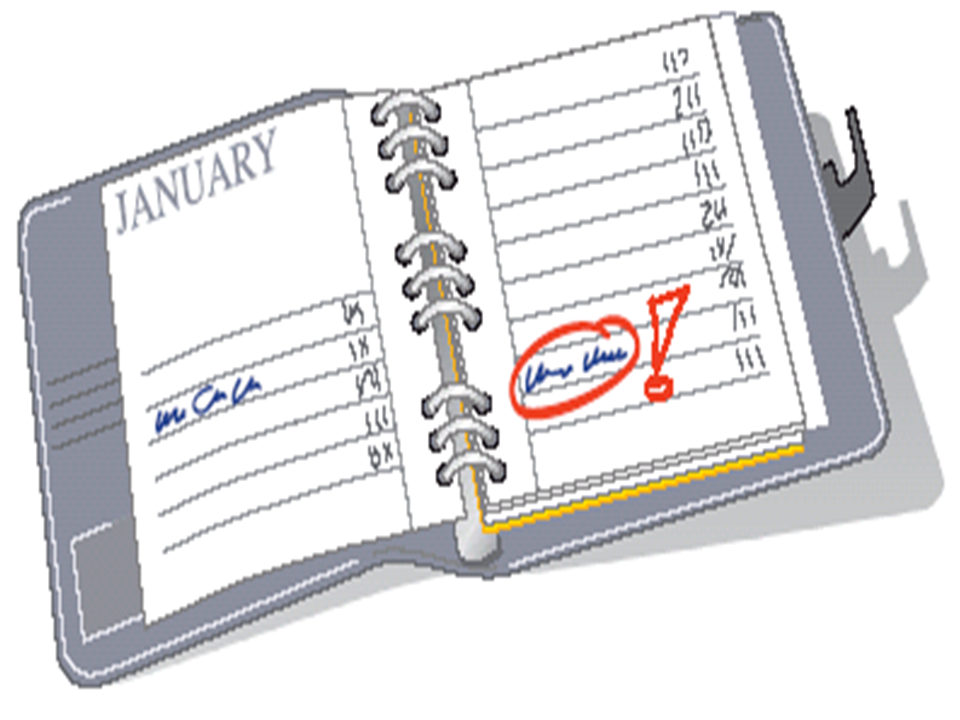 Infografik zum Thema "Leben nach Plan oder wildes Leben"